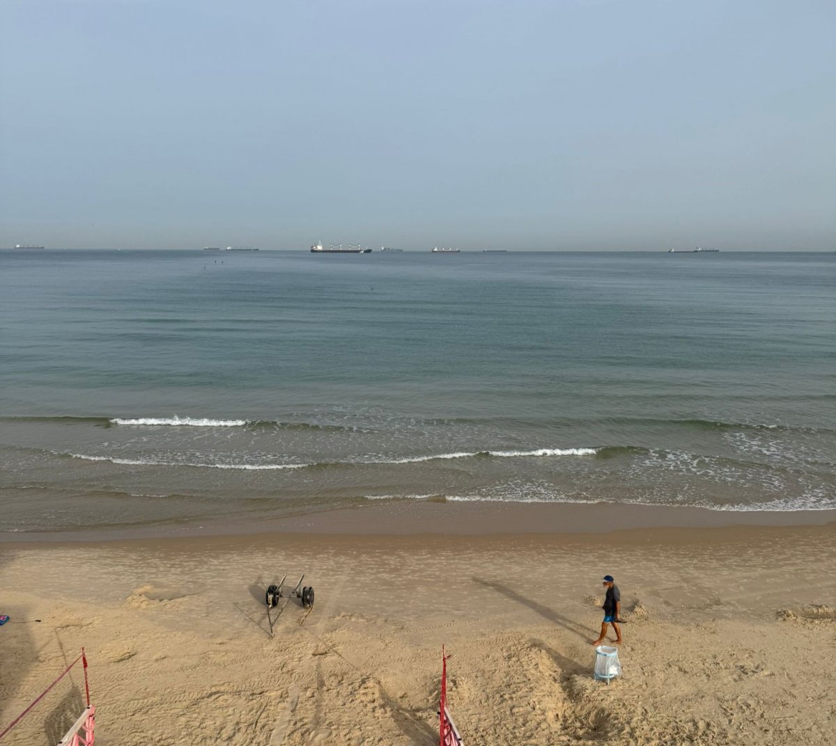 צילום ברנרד כהן 