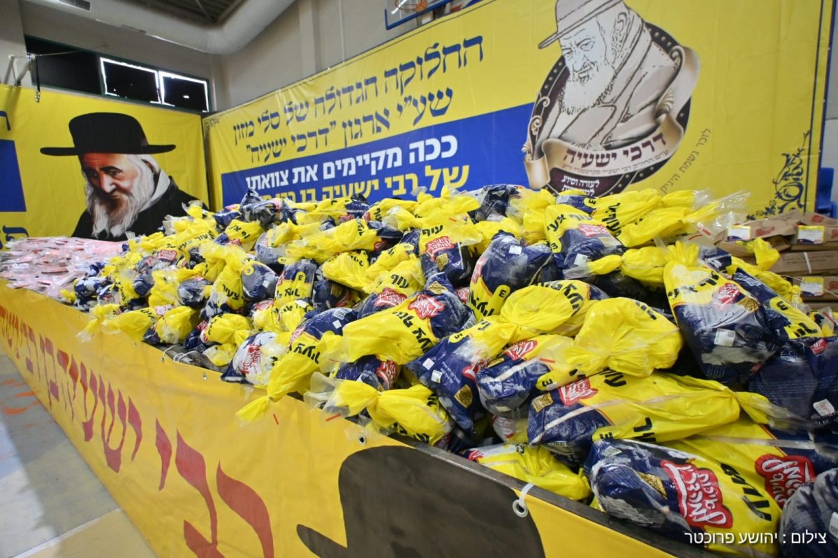 צילום: יהושע פרוכטר