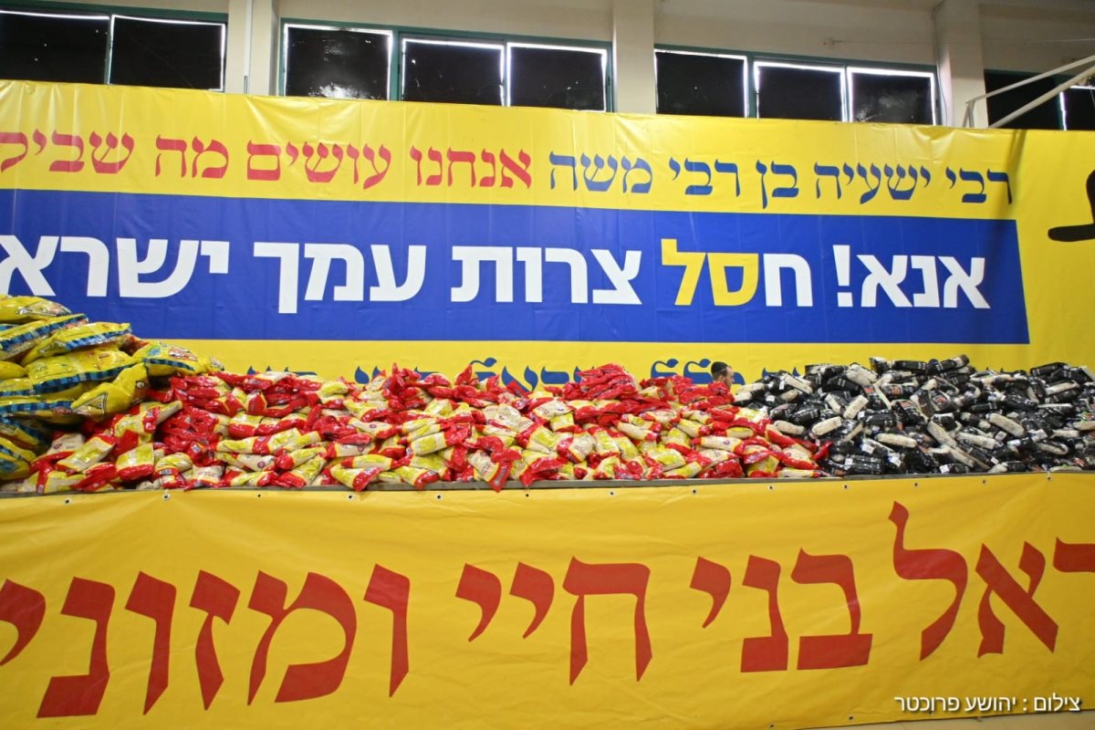 צילום: יהושע פרוכטר