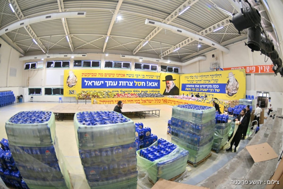 צילום: יהושע פרוכטר