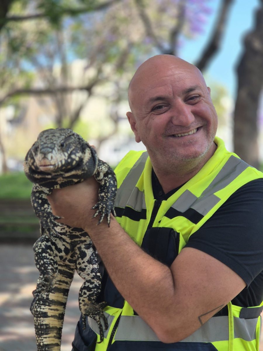 הלכידה. עירית אשדוד