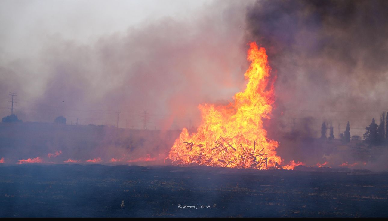 צילום: שי יונתן תיעוד מבצעי כב&quot;ה