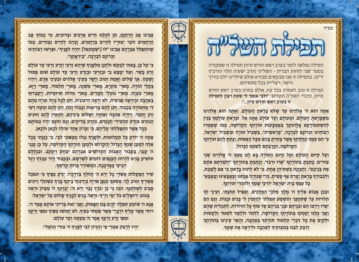 צילום: א. מיכאלי