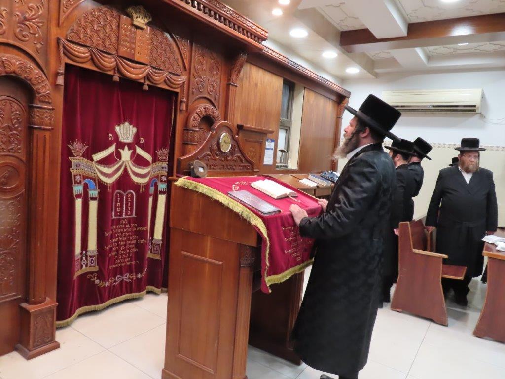 צילום: א. מיכאלי