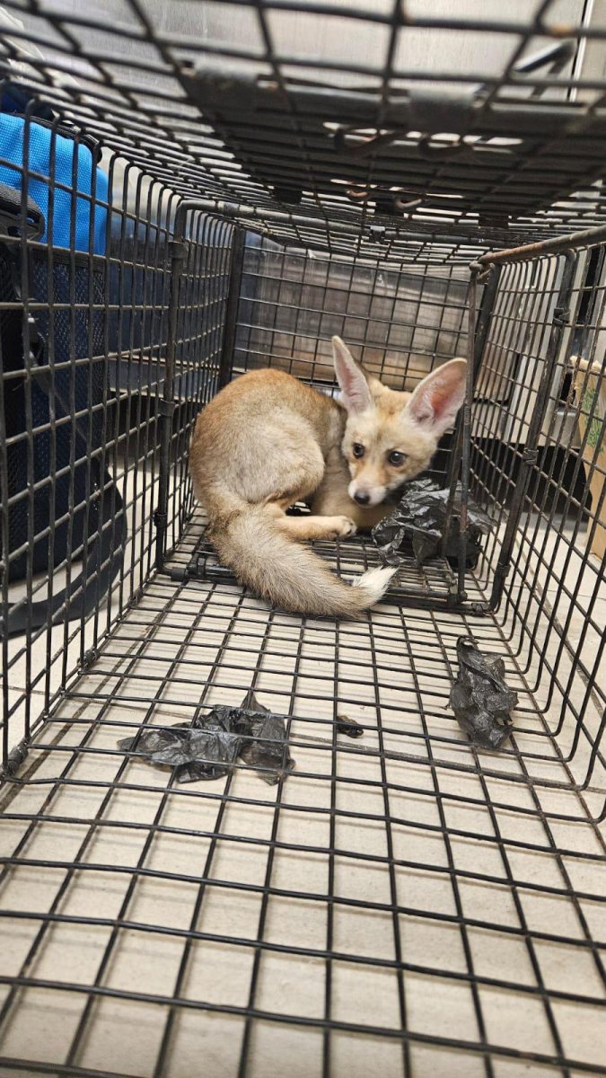 צילום: עירית אשדוד