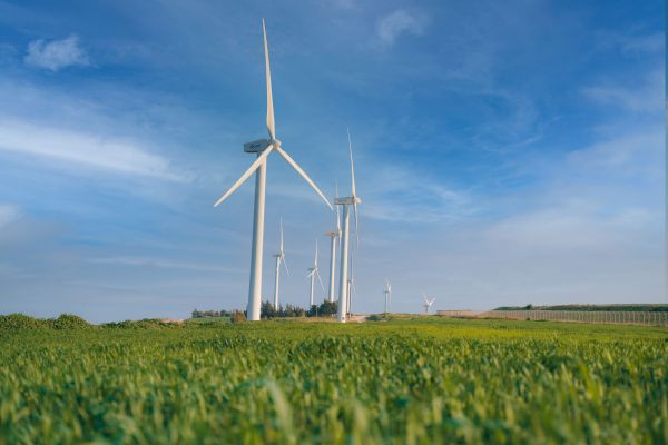 חוות הרוח עידן ארד