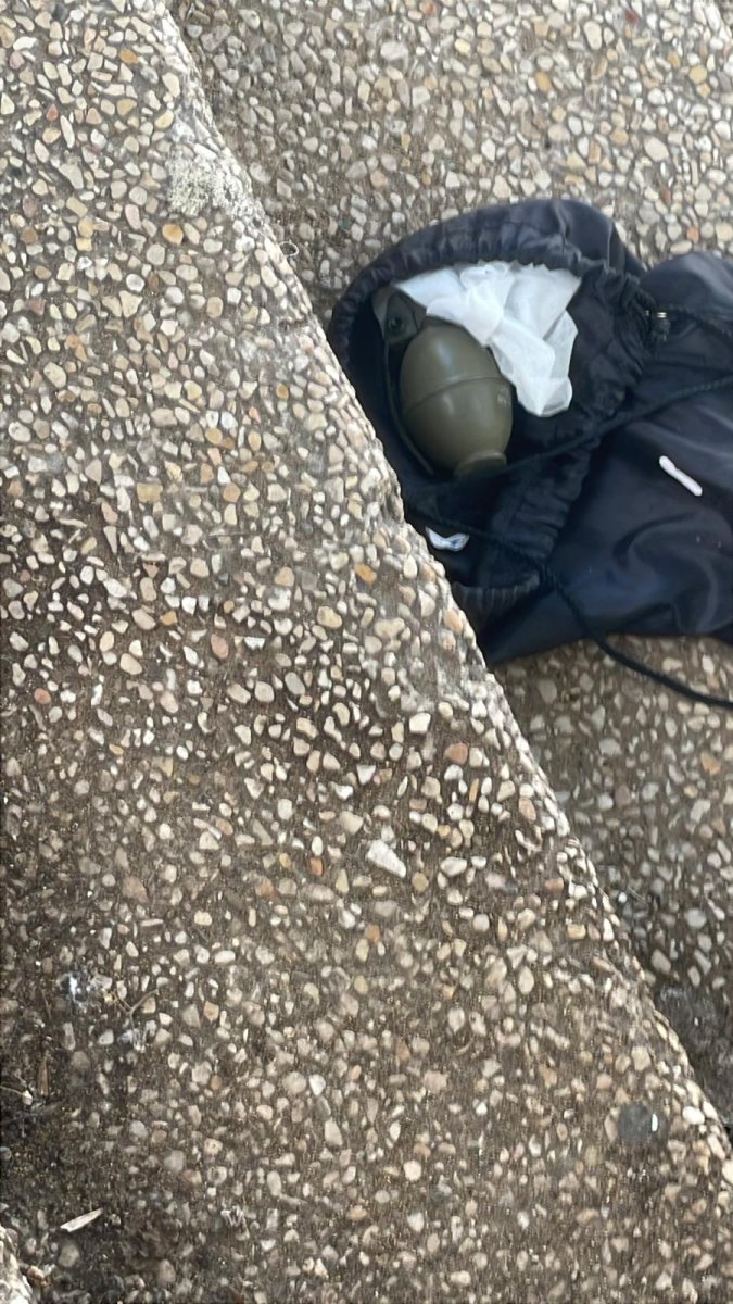 הרימון ברובע ז&#39;. באדיבות המצלם