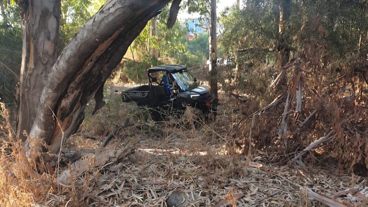 החיפושים בנחל לכיש. צילום: זק&quot;א