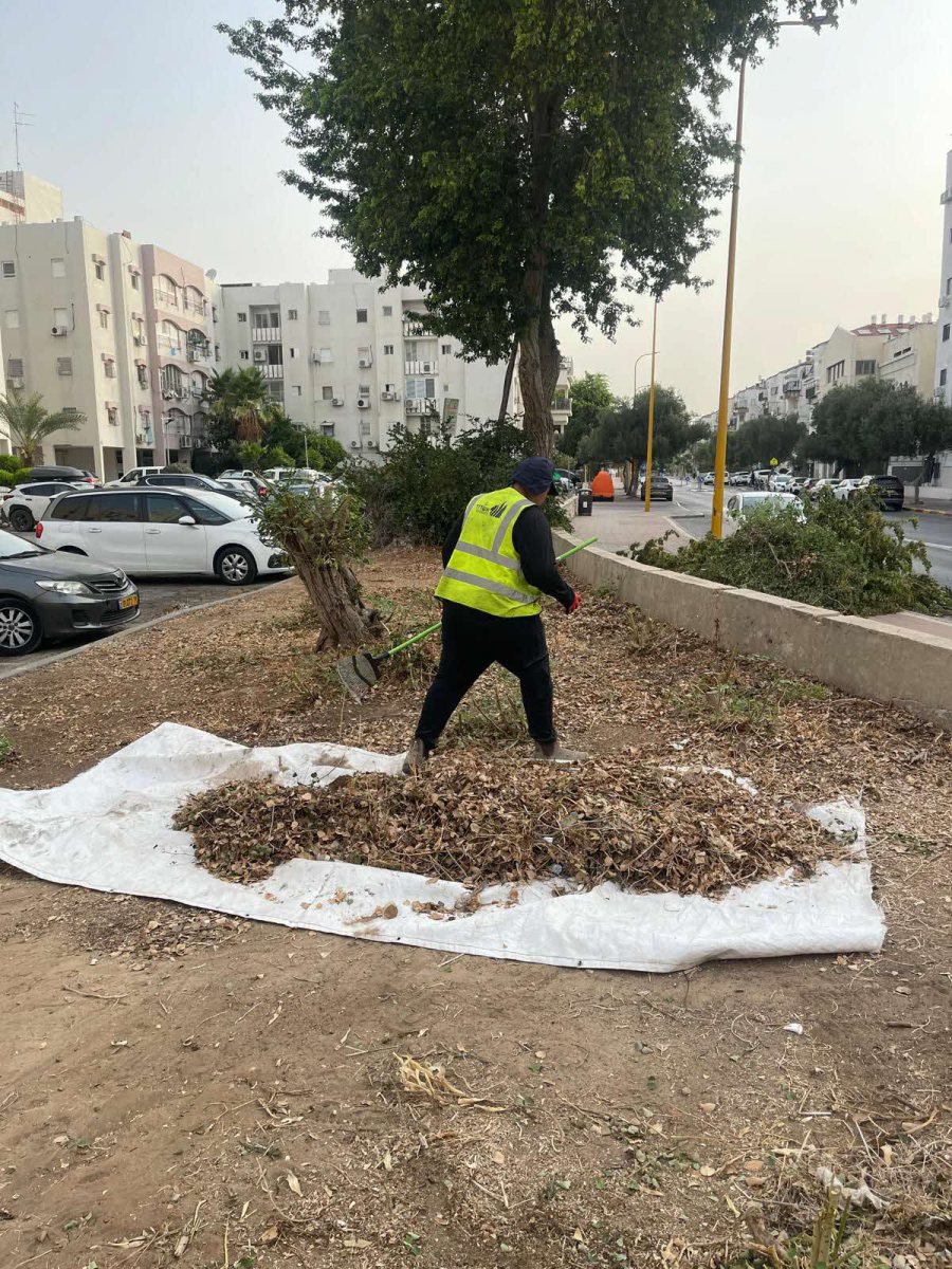 ניקיון השטחים המשותפים. עיריית אשדוד