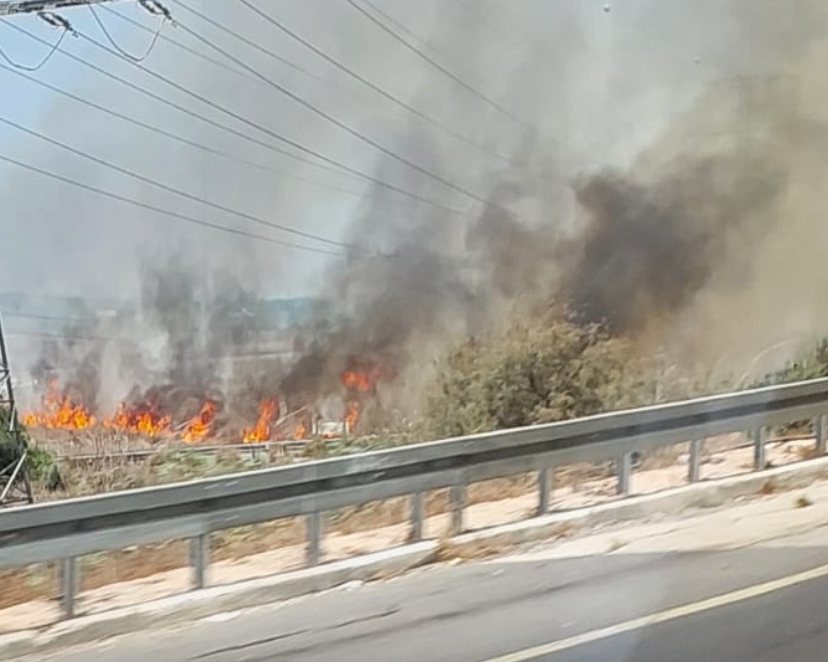 צילום: ברוך פרידמן