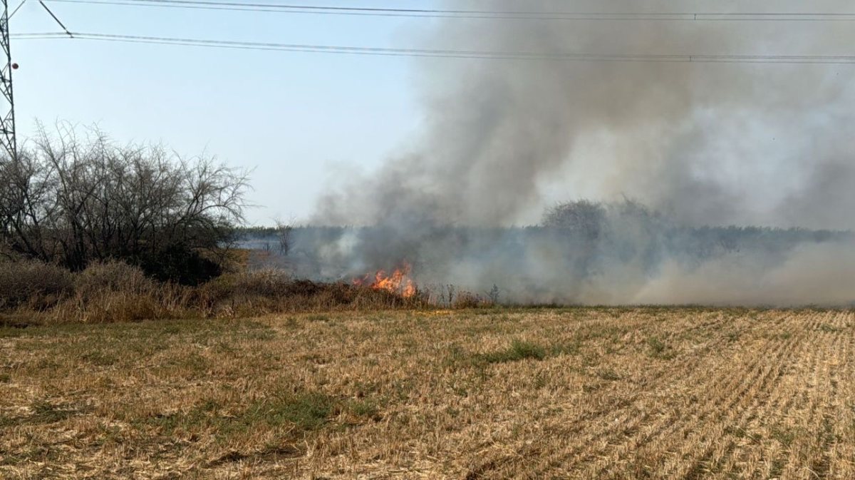 צילום: עמית וקנין - תיעוד מבצעי כיבוי והצלה