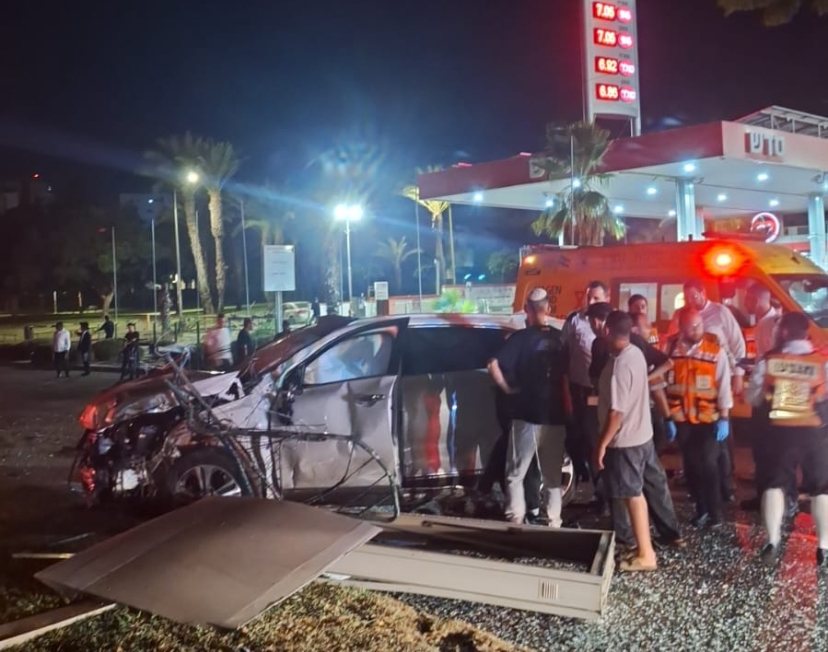 צילום: מוריה אילוז