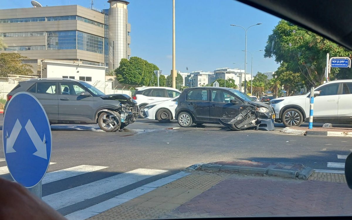 צילום: א. מיכאלי