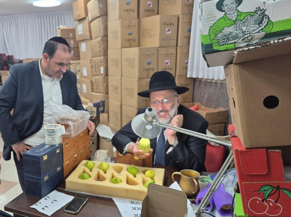 דרעי בבחירת אתרוג