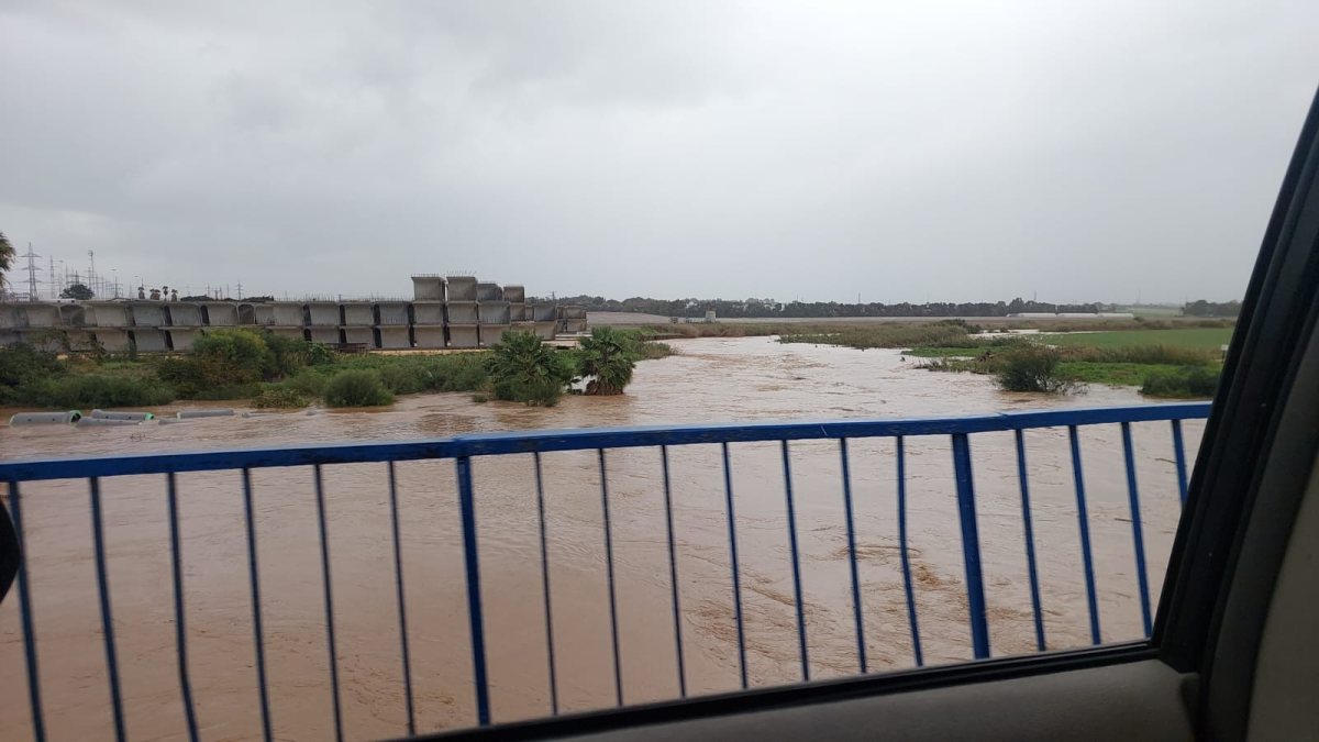 נחל לכיש באיזור הגשר ביציאה הצפונית (ברוך פרידמן)
