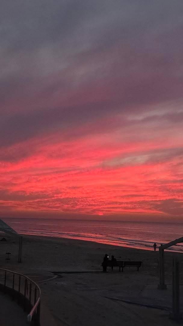 צילום ירון אופיר