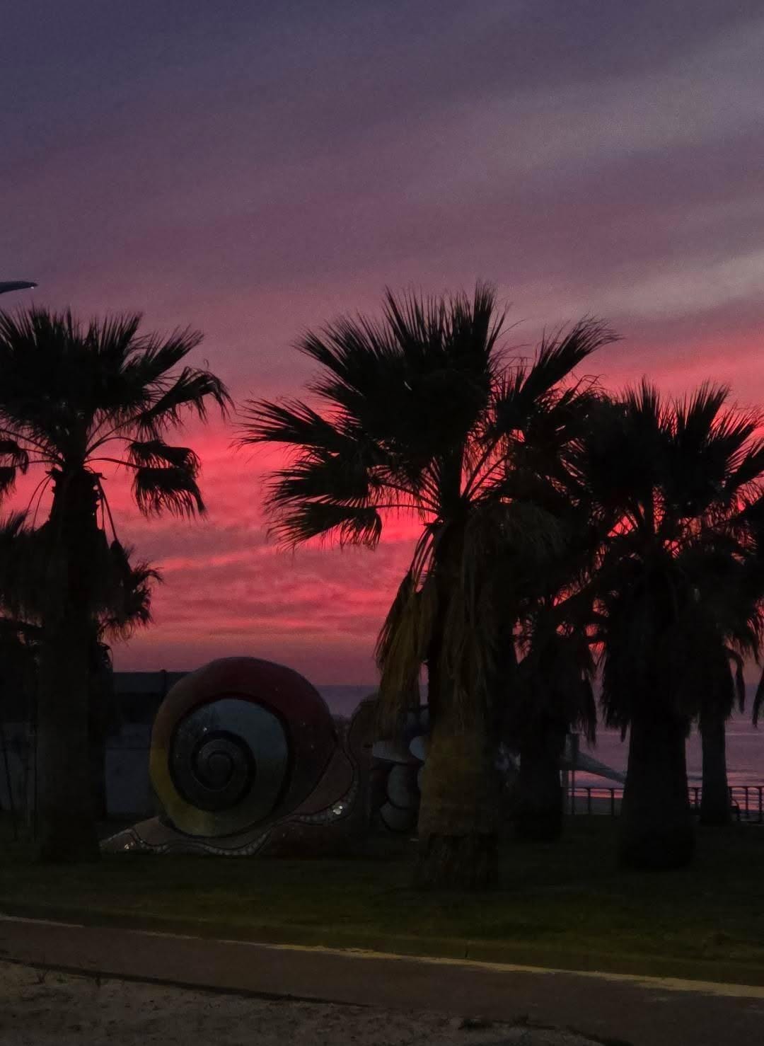 צילום ירון אופיר