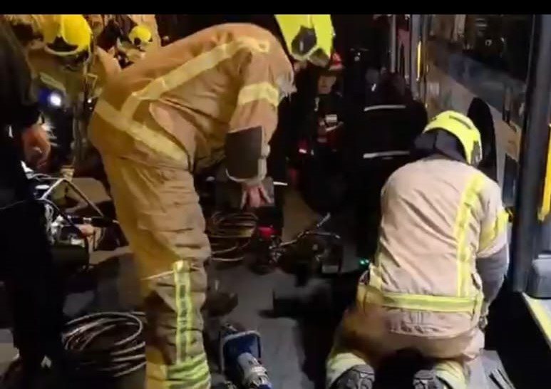 מתוך הסרטון