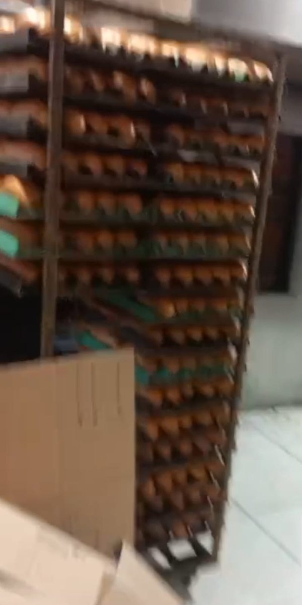 הלחמניות שיצאו מהתנורים. א מיכאלי