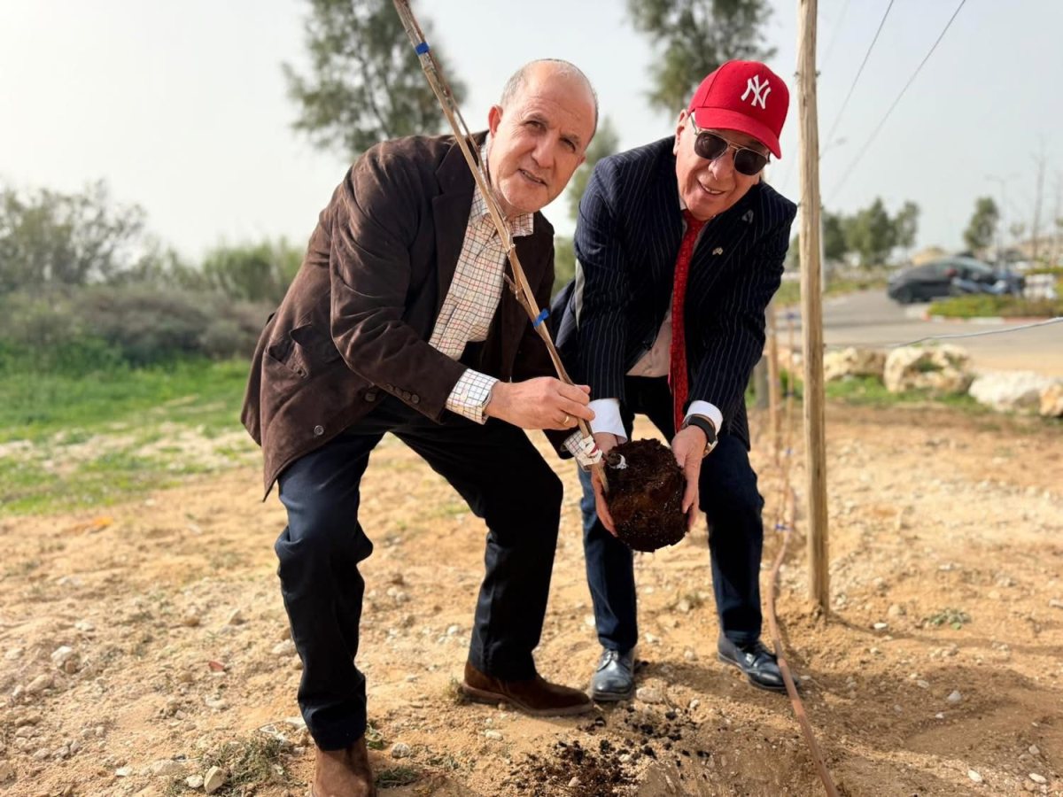 צילום: עירית אשדוד