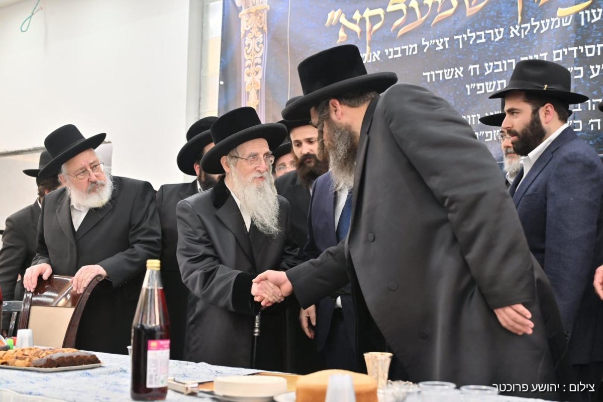 צילום: יהושע פרוכטר