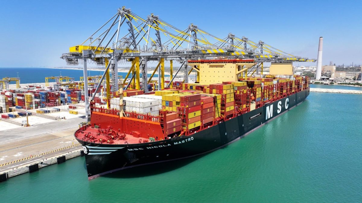 נמל הדרום. רענן כהן