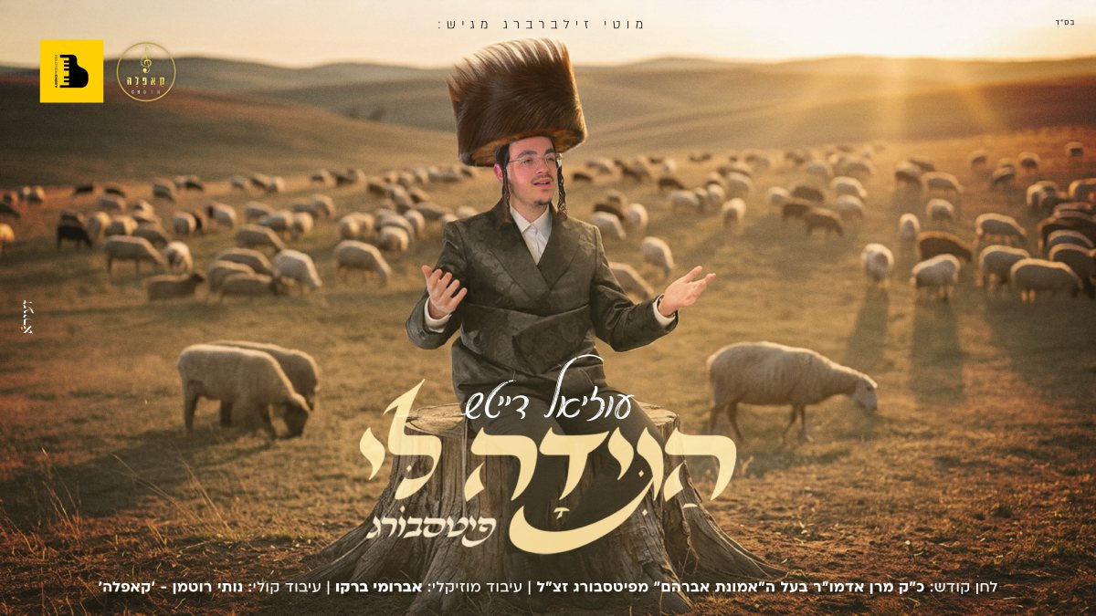 צילום: יהושע פרוכטר