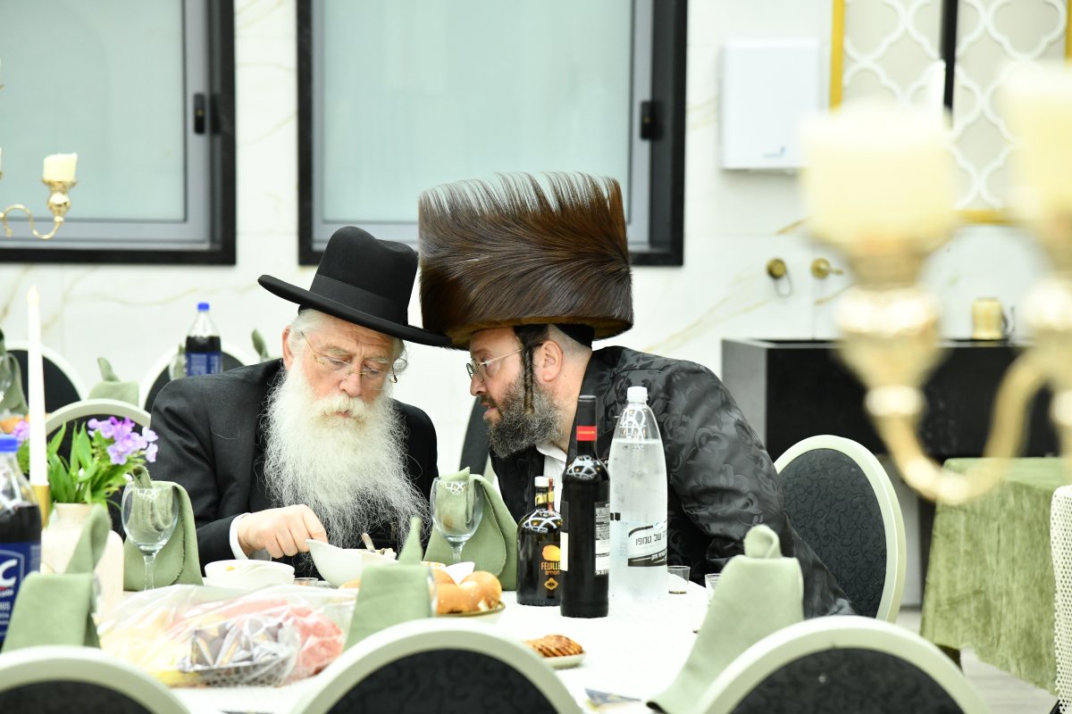 צילום: שוקי בריכטא