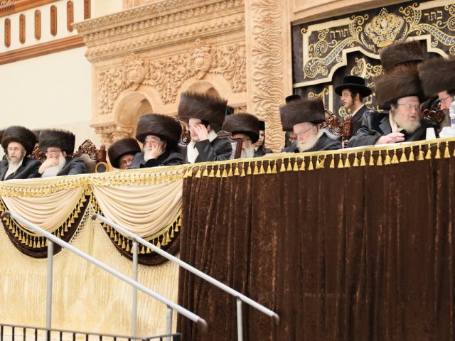 שמחת בית ביאלא פשיסחא. מוסדות ביאלא פשיסחא