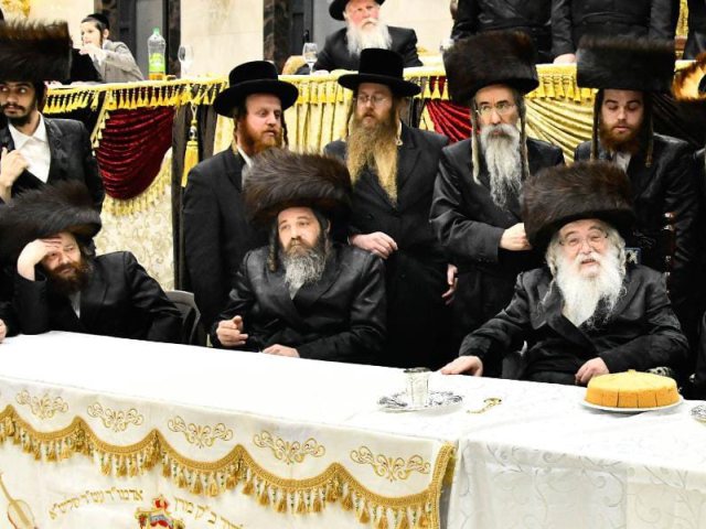 צילום: שוקי לרר