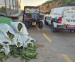 פעילות אכיפה רחבת היקף במרחב לכיש מזרח: נעצרו שוהים בלתי חוקיים