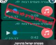משטרת ישראל