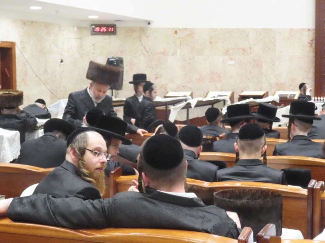 הרב שור מסייר בבתי הכנסת במסגרת ישיבת בין הזמנים. המצלם