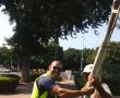 השמש לא תקפח לכם על הראש: עצים חדשים ניטעים בשדרות רובע ו'
