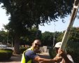 נוטעים עצים חדשים. מינהלת רובע ו'-ח''