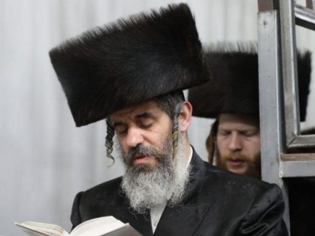 צילום: שלומי טריכטר
