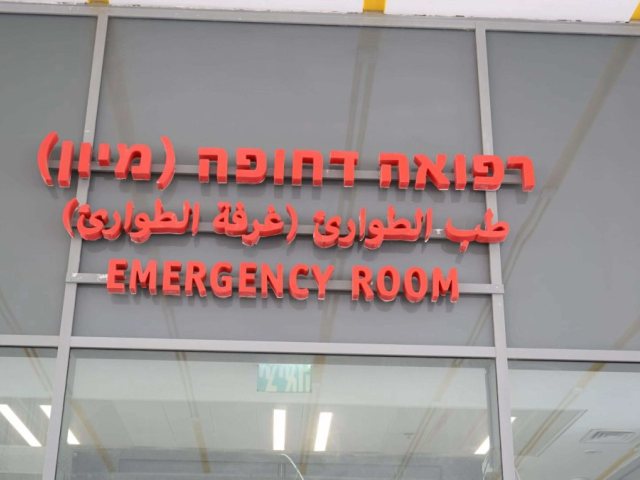 מלרד אסותא. דוברות