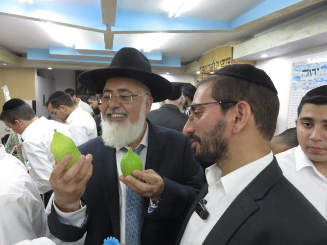 צילום: א. מיכאלי