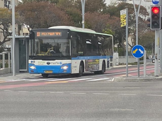 קו 10 אפיקים - ארכיון אשדוד נט