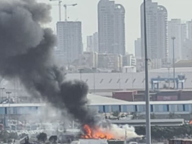 צילום: ליאון חודסחלק
