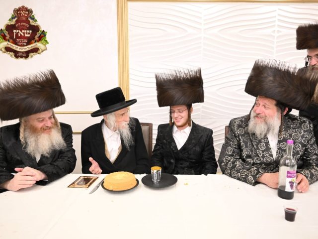 צילום: יוסי לוי