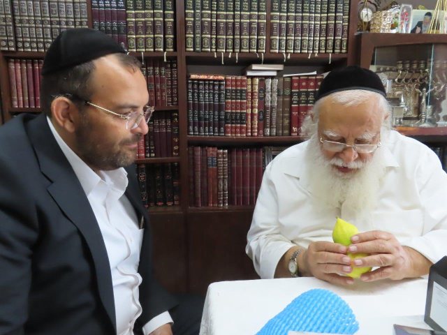 צילום: א. מיכאלי