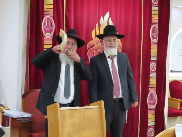 יתקע בשופר גדול. א. מיכאלי