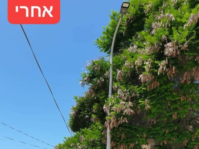 מינהלת רובע ג'
