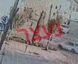 צפו: תושב רהט שלא הוציא רישיון לעולם, דרס ילדה ונמלט