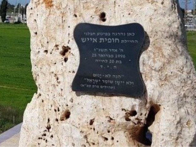 צילום: כאן דרום - אשקלון