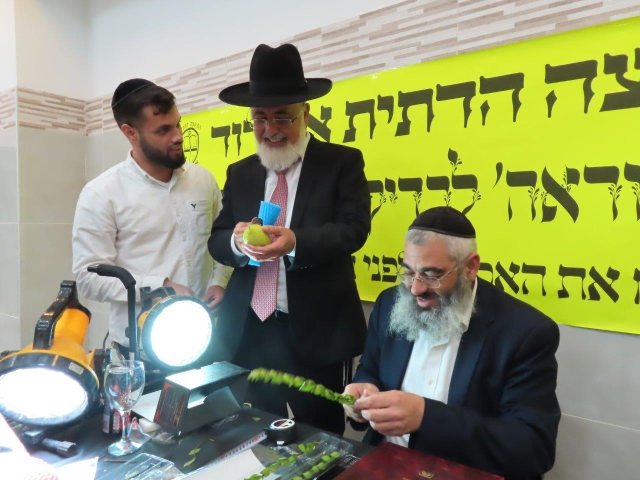 צילום: א. מיכאלי