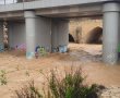 אפקט הגשמים: תיעוד מרהיב של נחל לכיש השוצף (ווידאו)