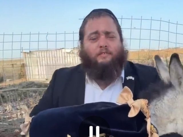 פדיון פטר חמור