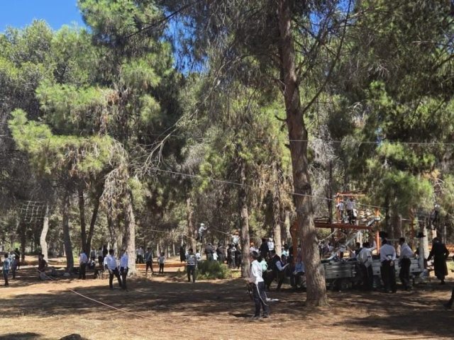 צילום: באדיבות המצלם
